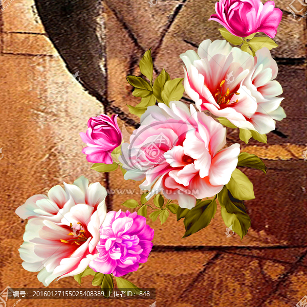 花,無(wú)框畫(huà)