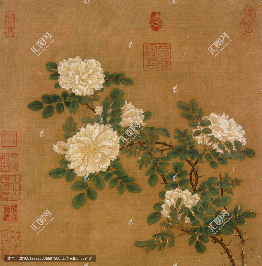 馬遠(yuǎn),白薔薇圖,未分層