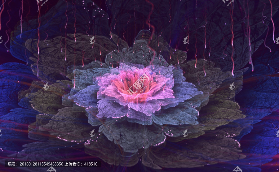 花朵