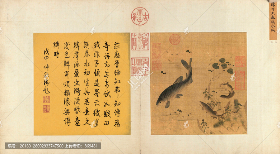春溪水族圖,未分層