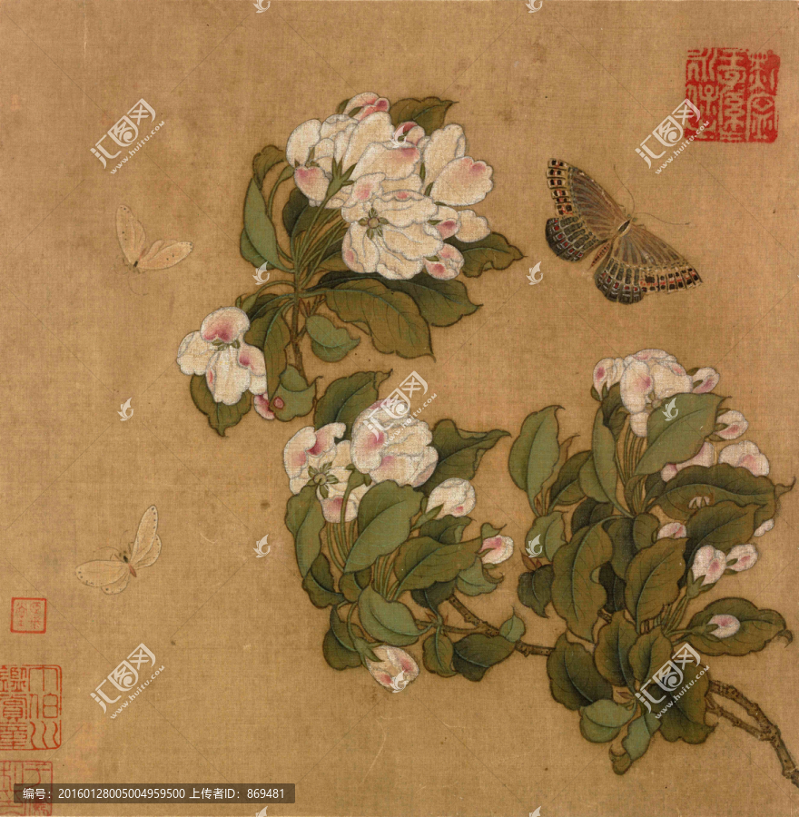 海棠蛺蝶圖,未分層