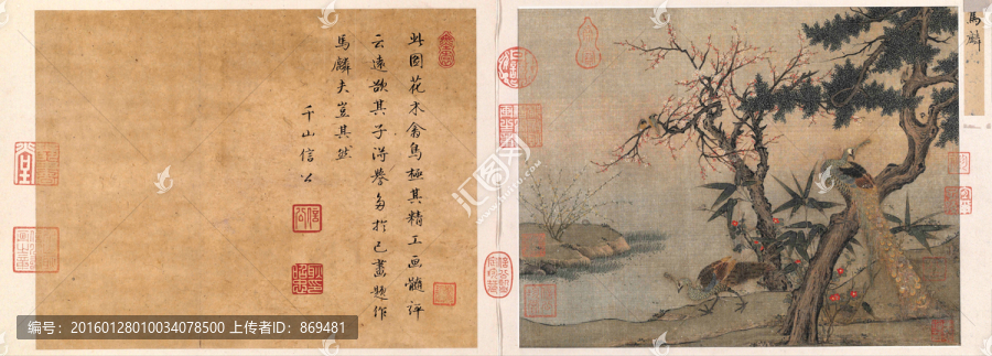 紅梅孔雀圖,未分層
