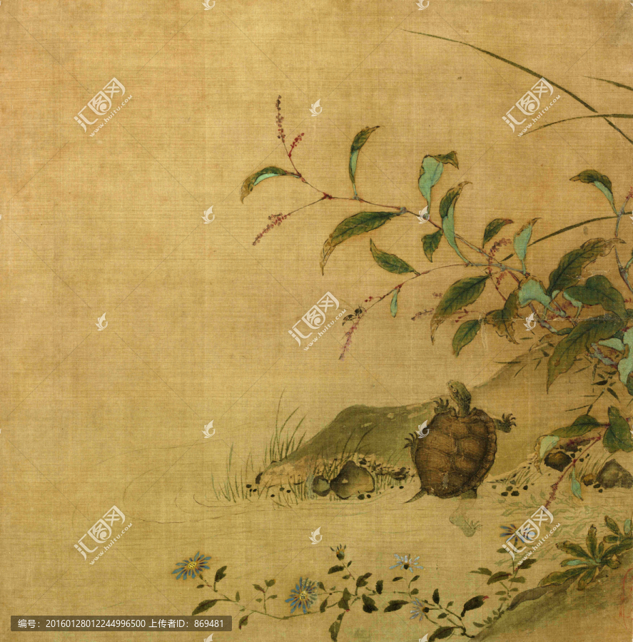 蓼龜圖,未分層