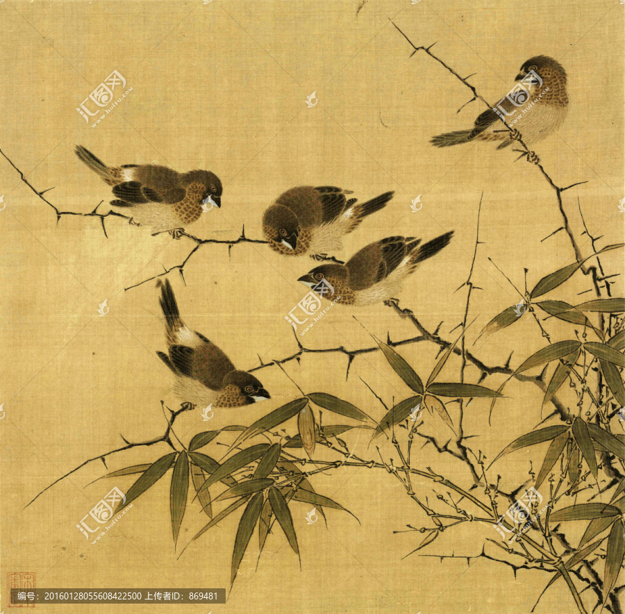 霜篠寒雛圖,未分層