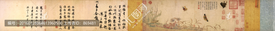 趙昌,寫生蛺蝶圖卷,未分層