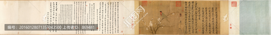 趙佶,五色鸚鵡圖,未分層
