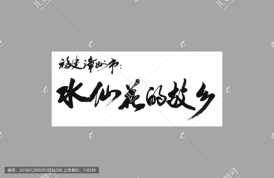 福建漳州市水仙花的故鄉(xiāng)
