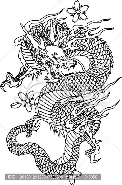 龍