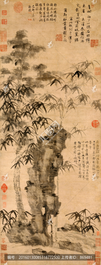 倪瓚,梧竹秀石圖,未分層