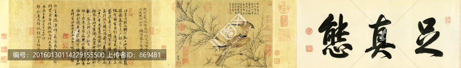 趙孟頫,幽篂戴勝圖,未分層
