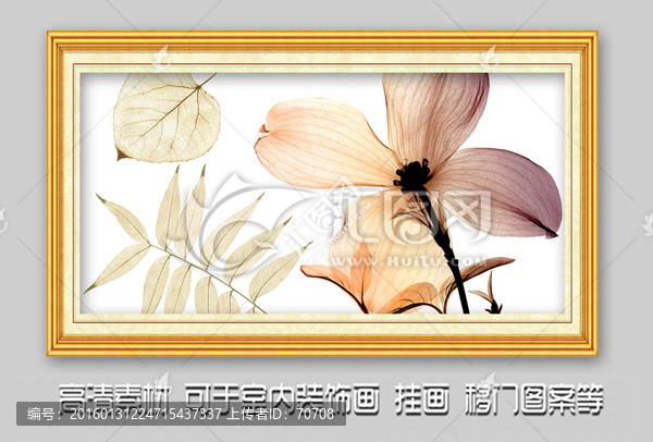 花卉花朵