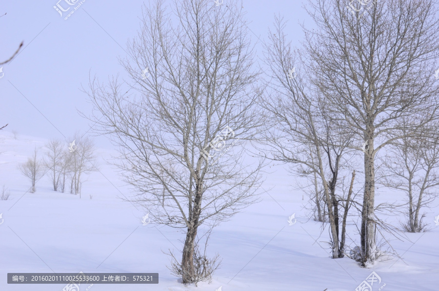 冰天雪地