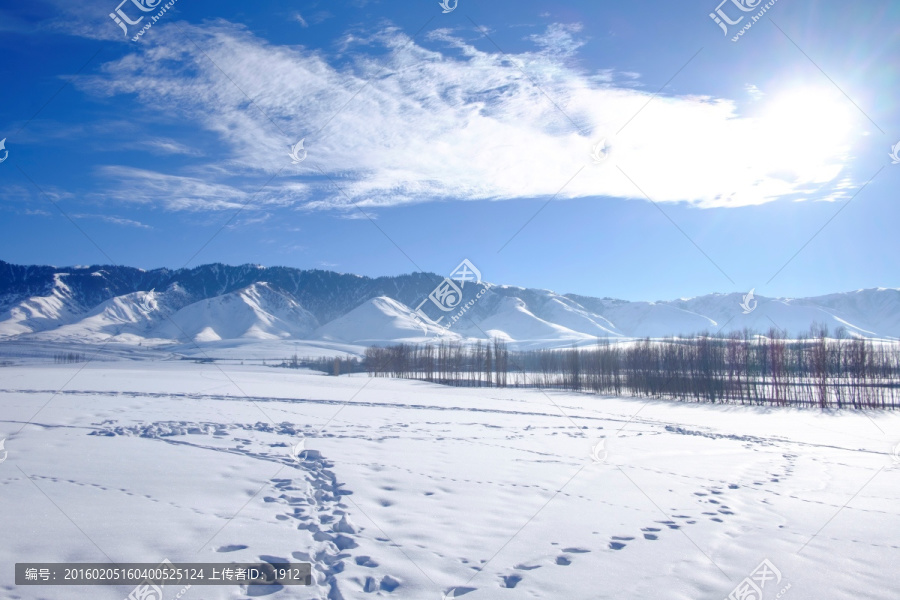 冬雪