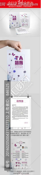 求職簡歷設(shè)計模板圖片