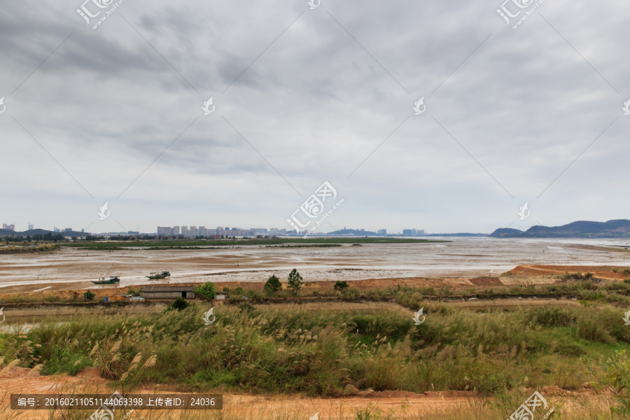 海边滩涂风光