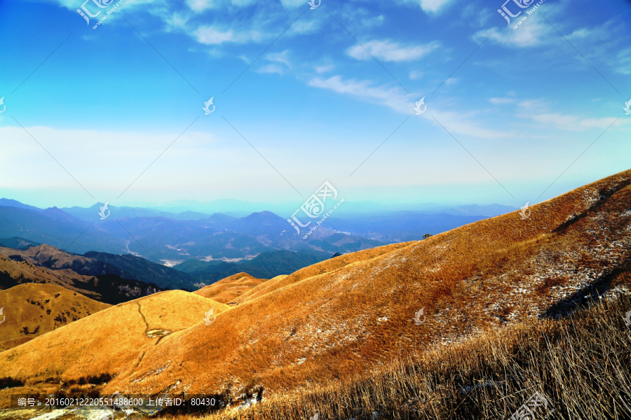 武功山高山草甸