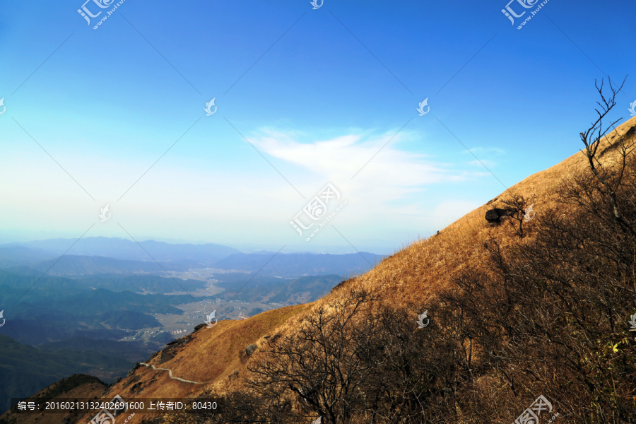 武功山高山草甸