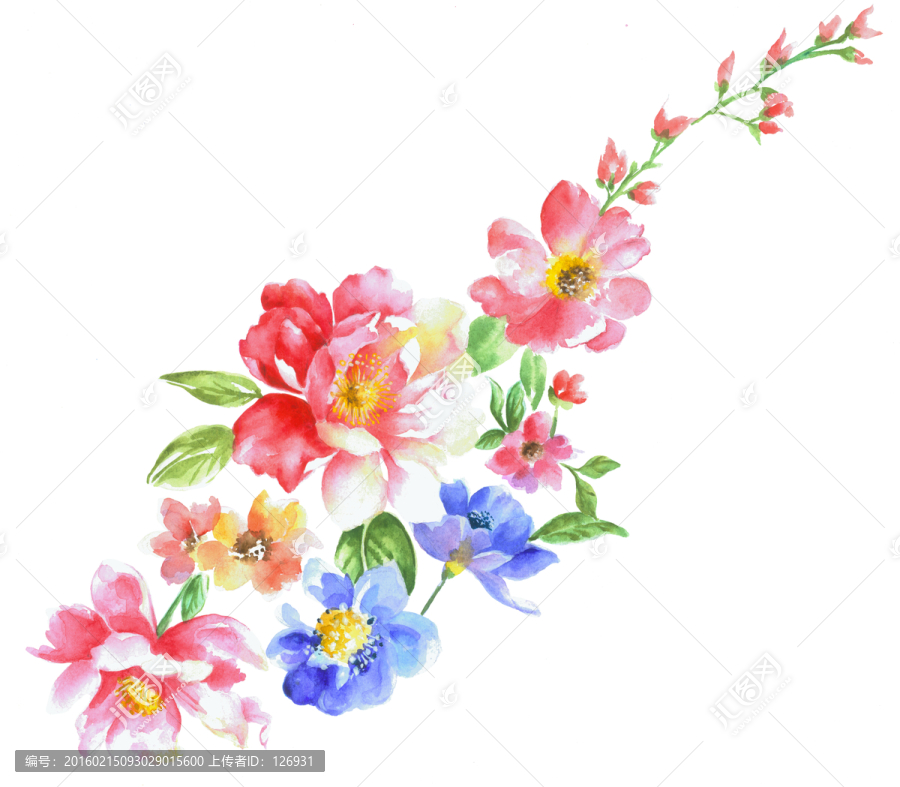手繪花卉素材,分層