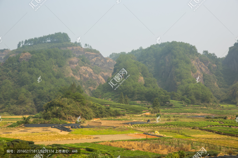 武夷山风光,武夷山俯瞰