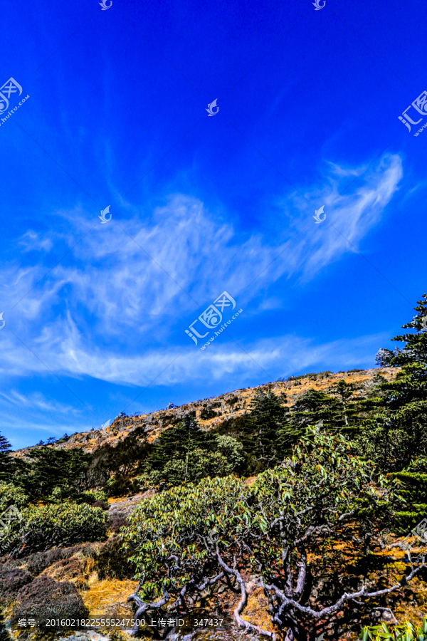 云南轿子雪山景区