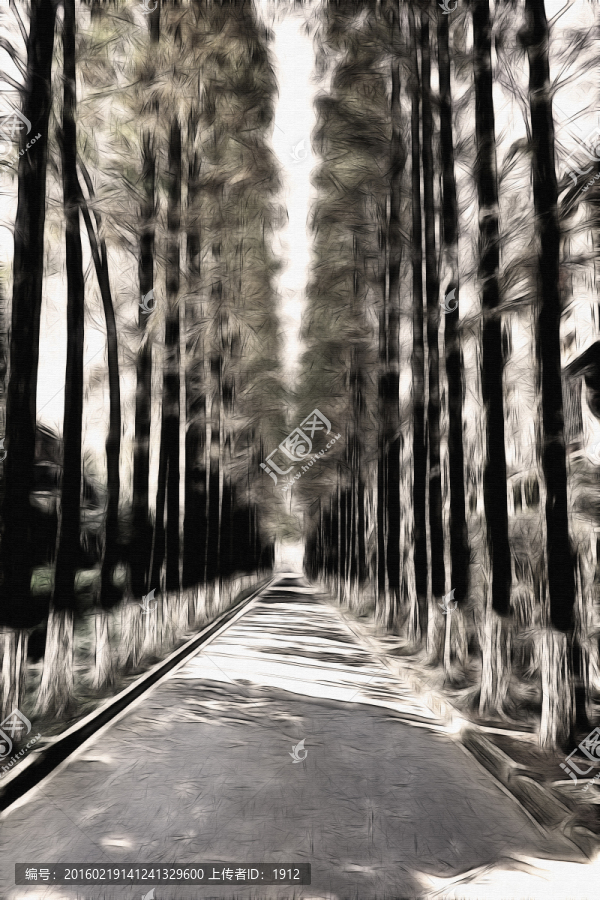 林蔭道