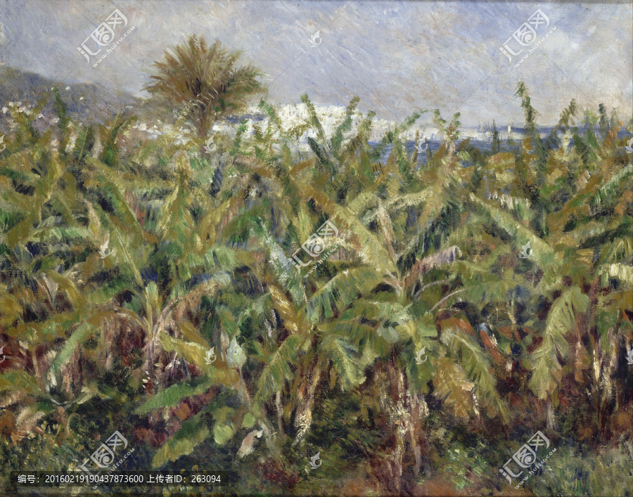 香焦樹林