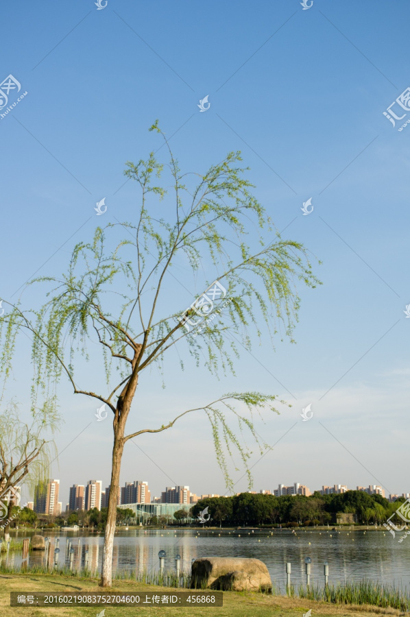 春天的公園