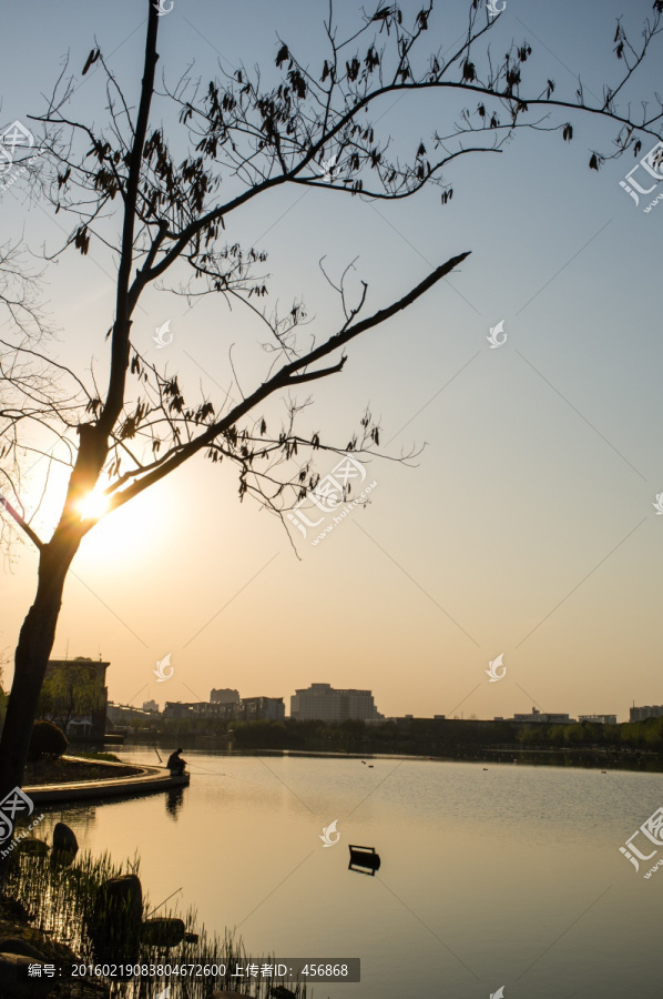 夕陽下的公園