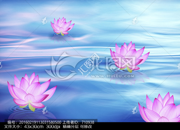 荷花