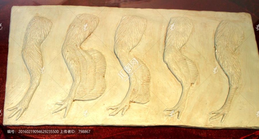 赫式近鳥(niǎo)龍化石-匯圖網(wǎng) www.fosd68.com 赫式近鳥(niǎo)龍化石