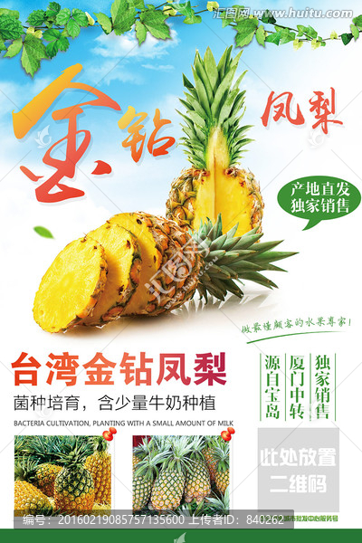 金鉆鳳梨60乘以80寫真31張