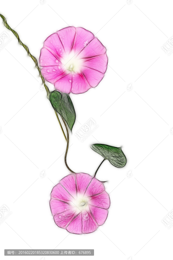 繪畫風(fēng)格的喇叭花創(chuàng)意