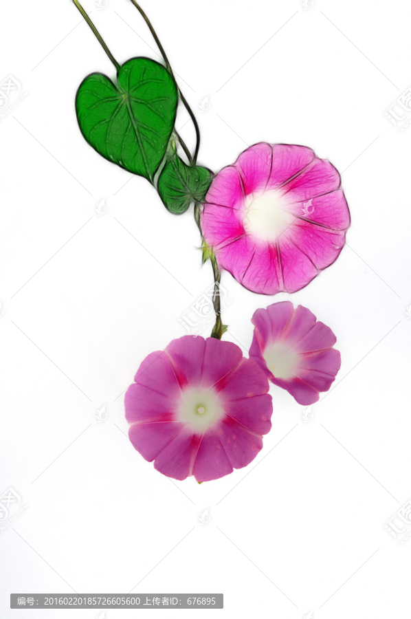 綠葉紅花的創(chuàng)意之美