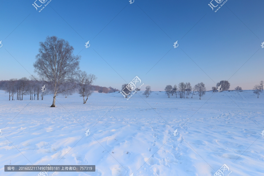 乌兰布统草原雪景