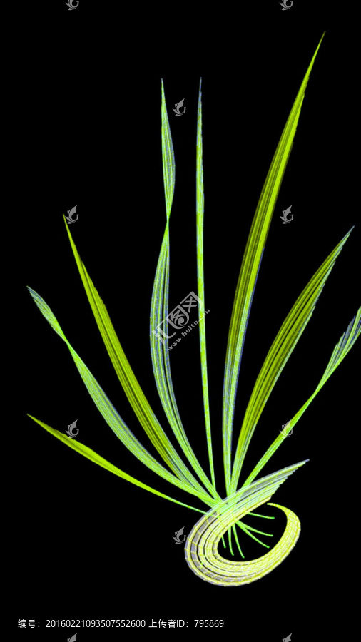 蘭草