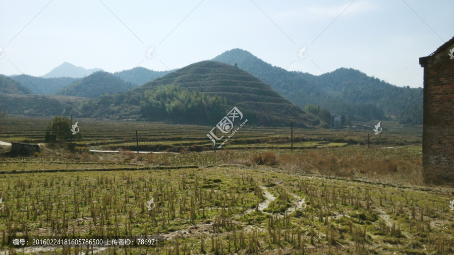 山村,高山,田地