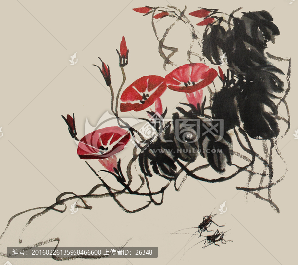 喇叭花