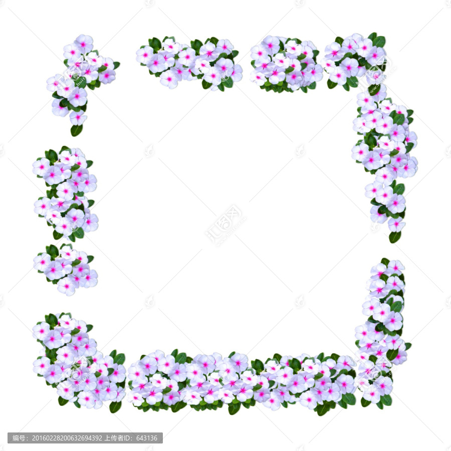小花邊框