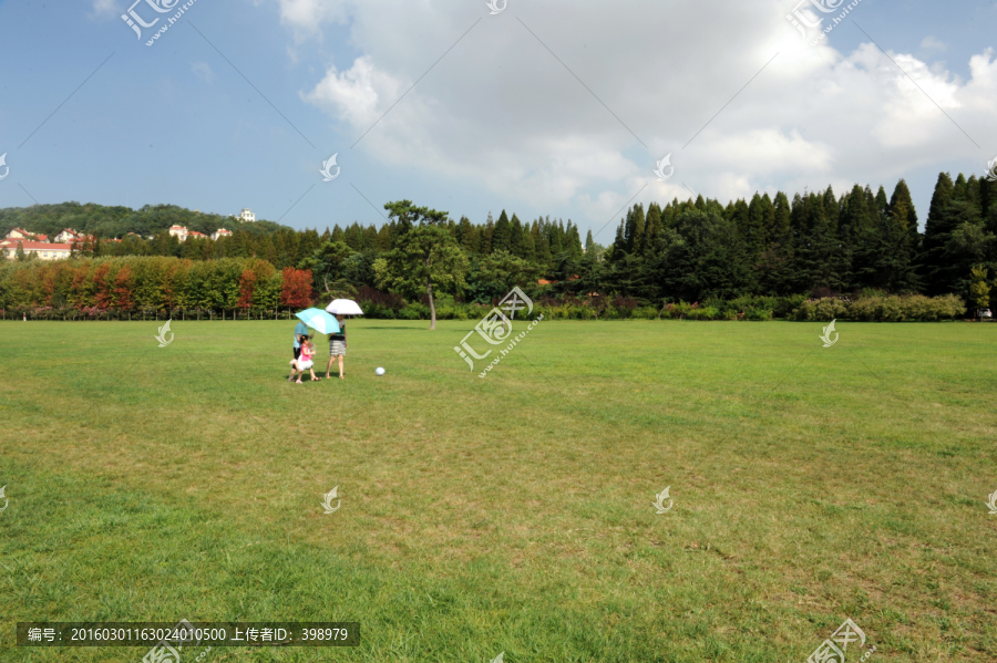 青岛中山公园草坪