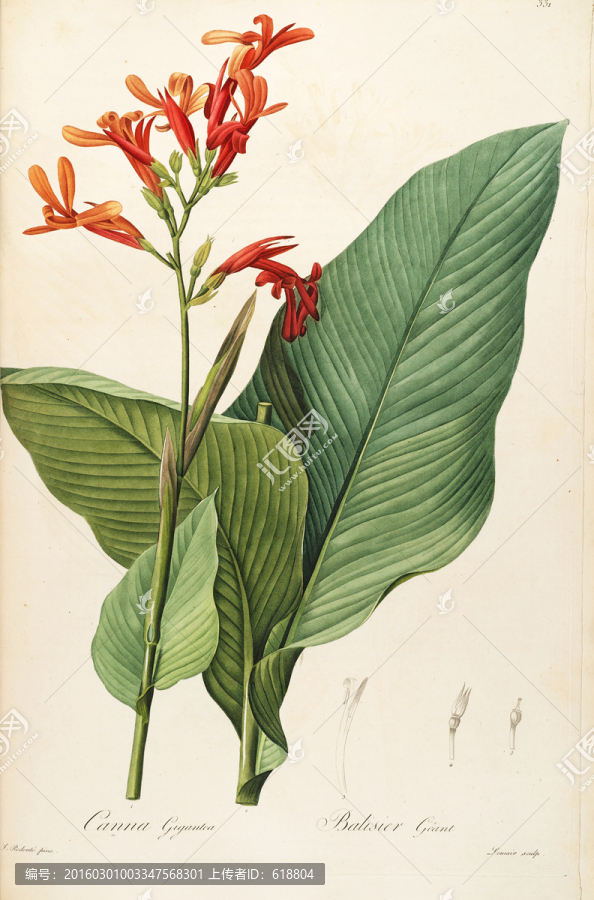 歐式古典花卉油畫(huà),畫(huà)廊品質(zhì)