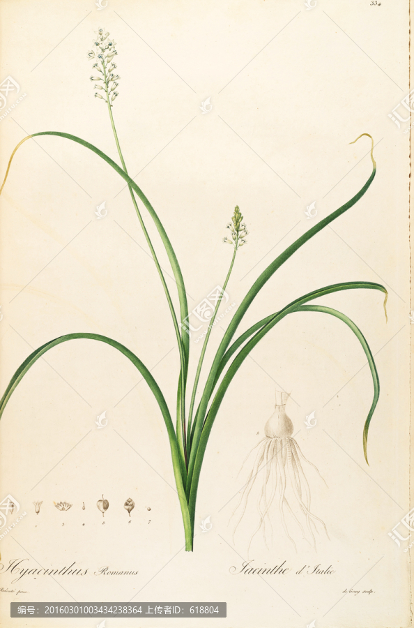 歐式古典花卉油畫,畫廊品質