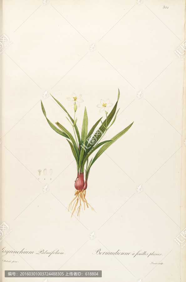 歐式淡雅手繪花草,畫廊品質
