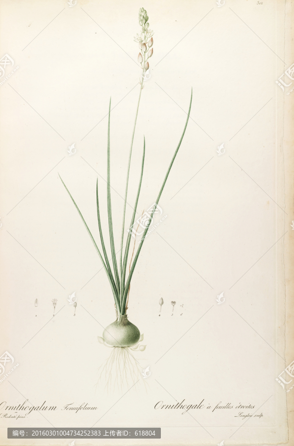 歐式古典花卉油畫,畫廊品質(zhì)