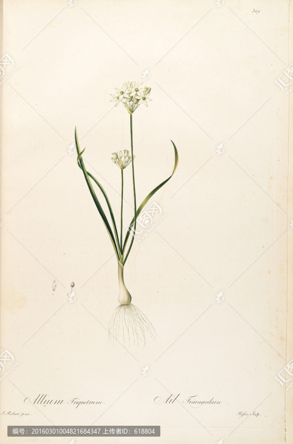 歐式古典花卉油畫,畫廊品質(zhì)