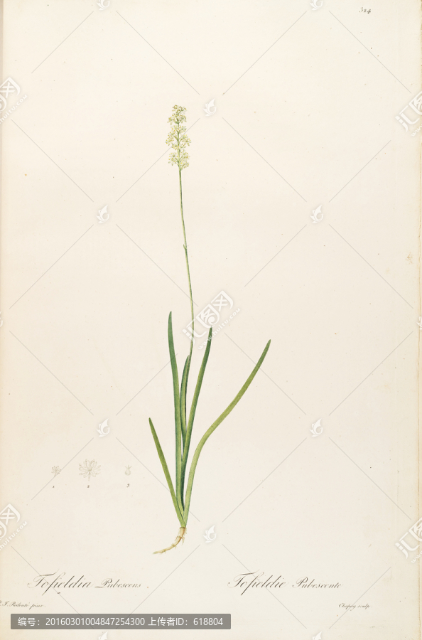 歐式古典花卉油畫(huà),畫(huà)廊品質(zhì)