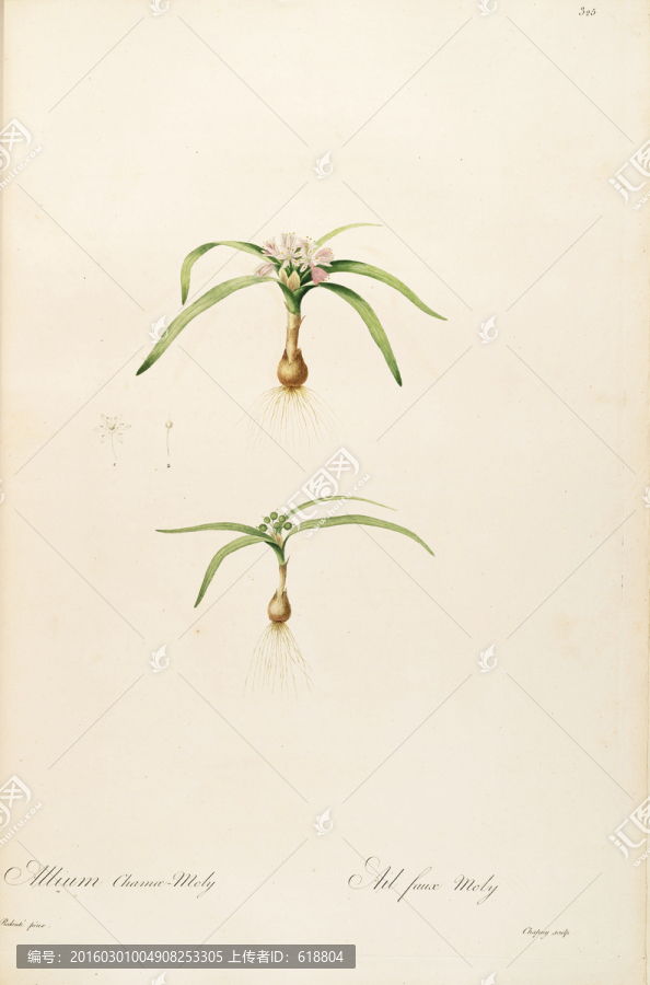 歐式古典花卉油畫,畫廊品質(zhì)