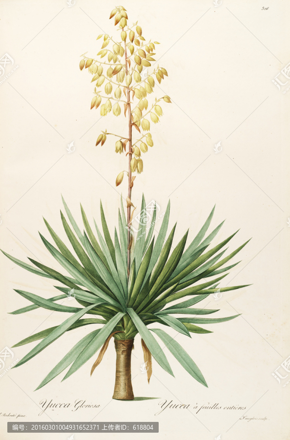 歐式古典花卉油畫,畫廊品質(zhì)
