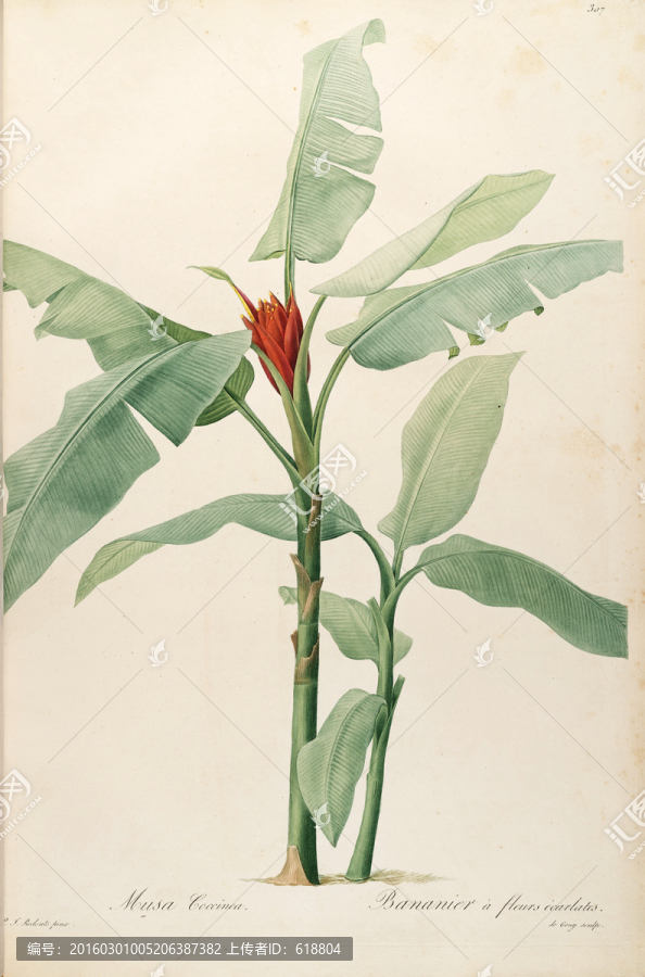 歐式淡雅手繪花草,畫(huà)廊品質(zhì)