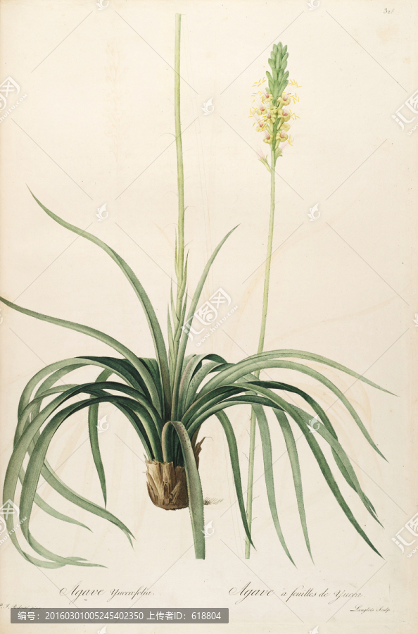 歐式淡雅手繪花草,畫廊品質(zhì)