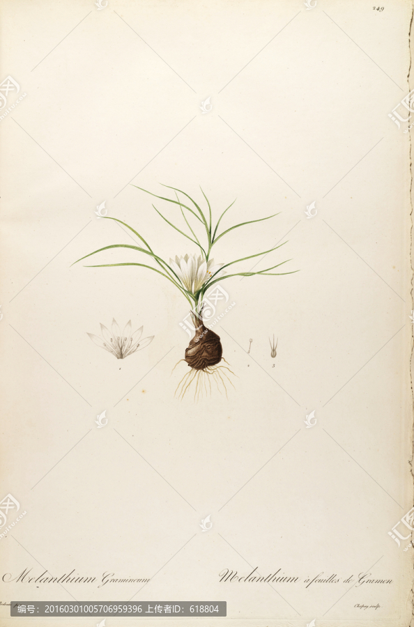 歐式古典花卉油畫(huà),畫(huà)廊品質(zhì)
